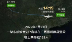 321空难波音东航保险公司旅客就业公